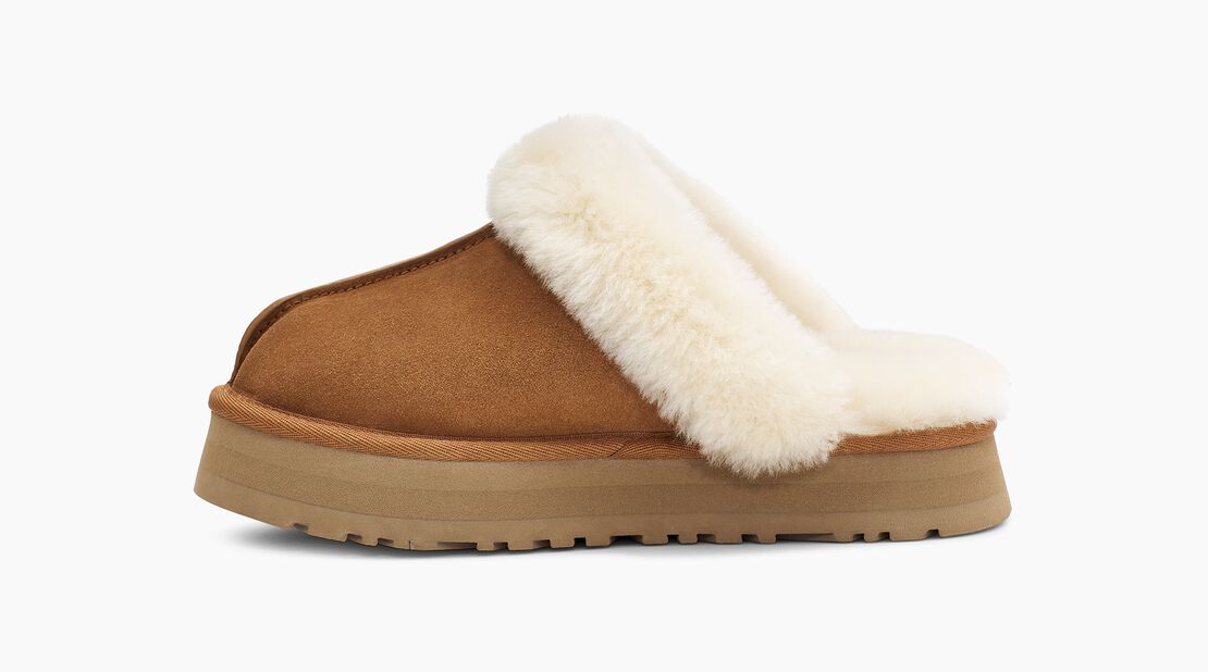 disquette slipper